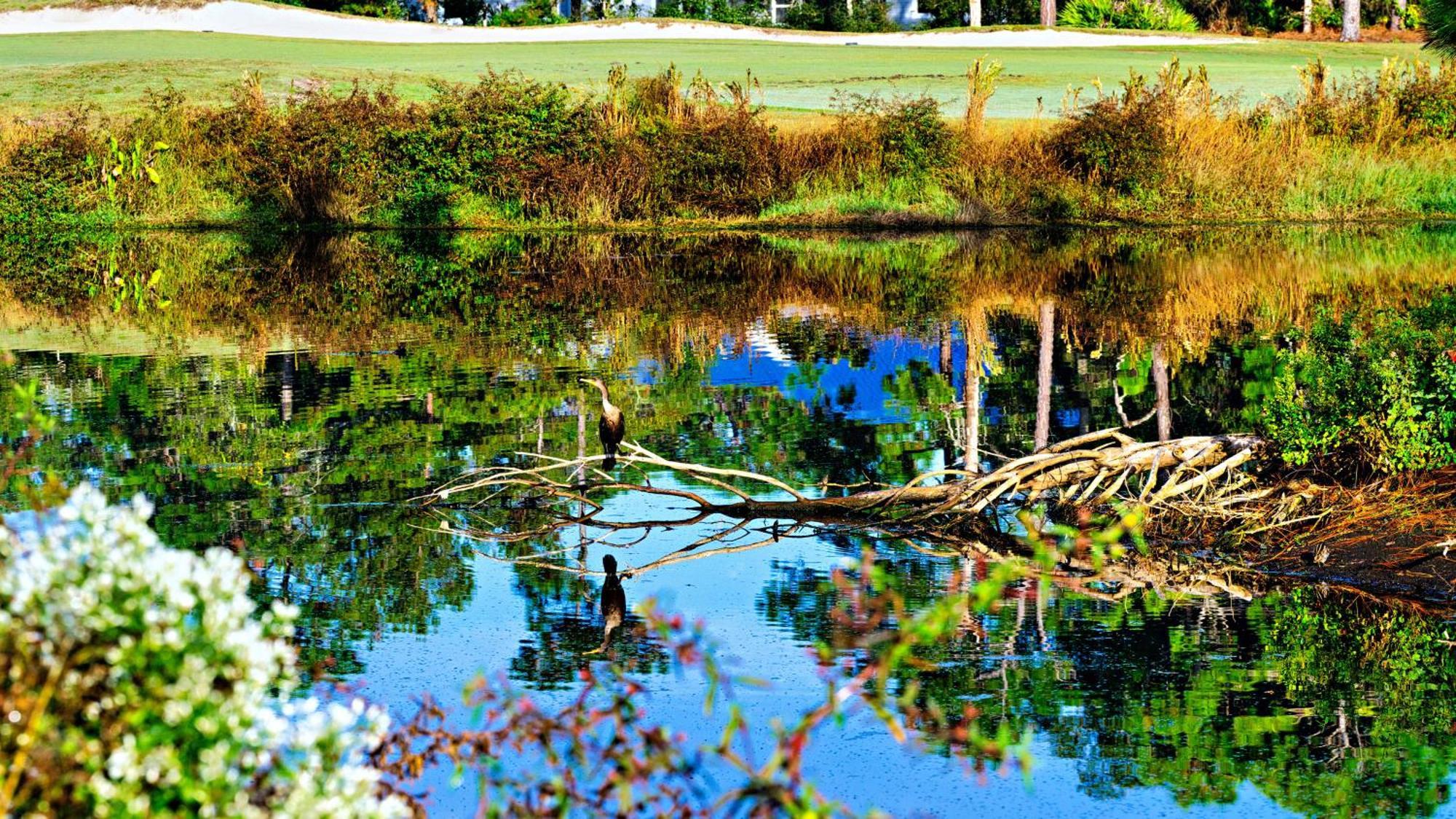 St James Bay Golf & Pickleball Resort Big Blackjack Landing Экстерьер фото